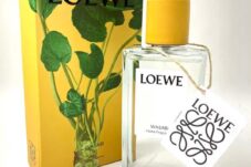 ～香水の買取もお任せください～ LOEWE  ホームフレグランス WASABI  買取致しました。
